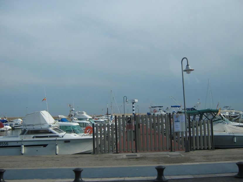 Picture 13290 - Barcelona Alex-John