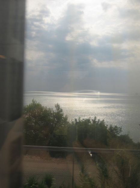 Picture 13295 - Barcelona Alex-John