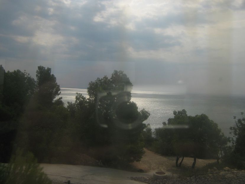 Picture 13296 - Barcelona Alex-John