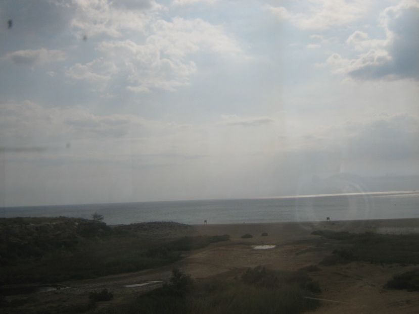 Picture 13301 - Barcelona Alex-John