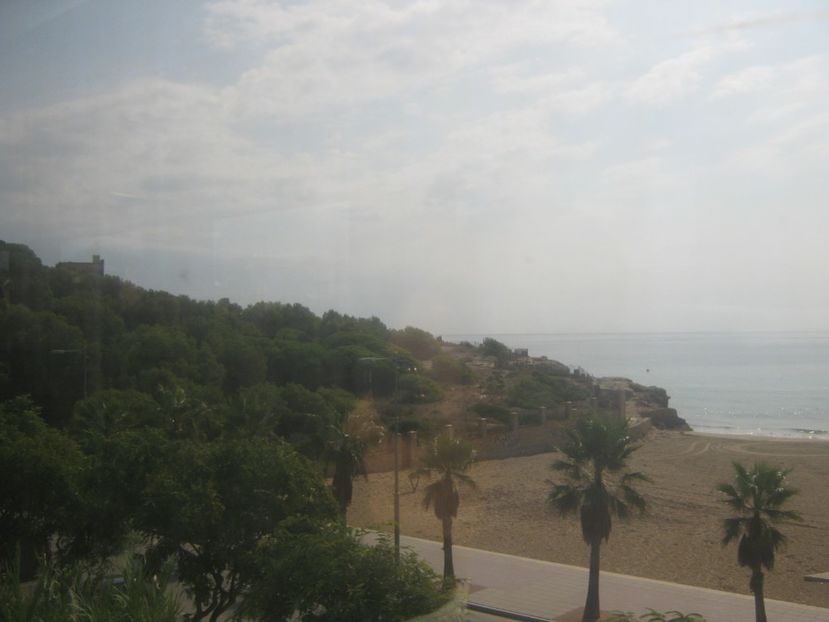 Picture 13305 - Barcelona Alex-John