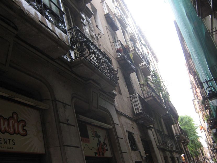 Picture 13306 - Barcelona Alex-John