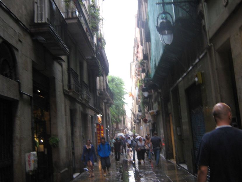 Picture 13307 - Barcelona Alex-John