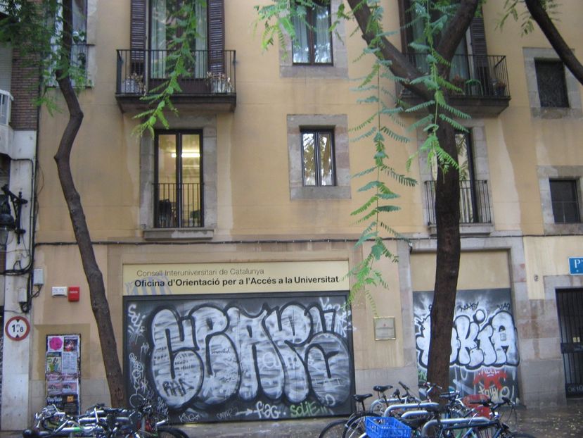 Picture 13308 - Barcelona Alex-John