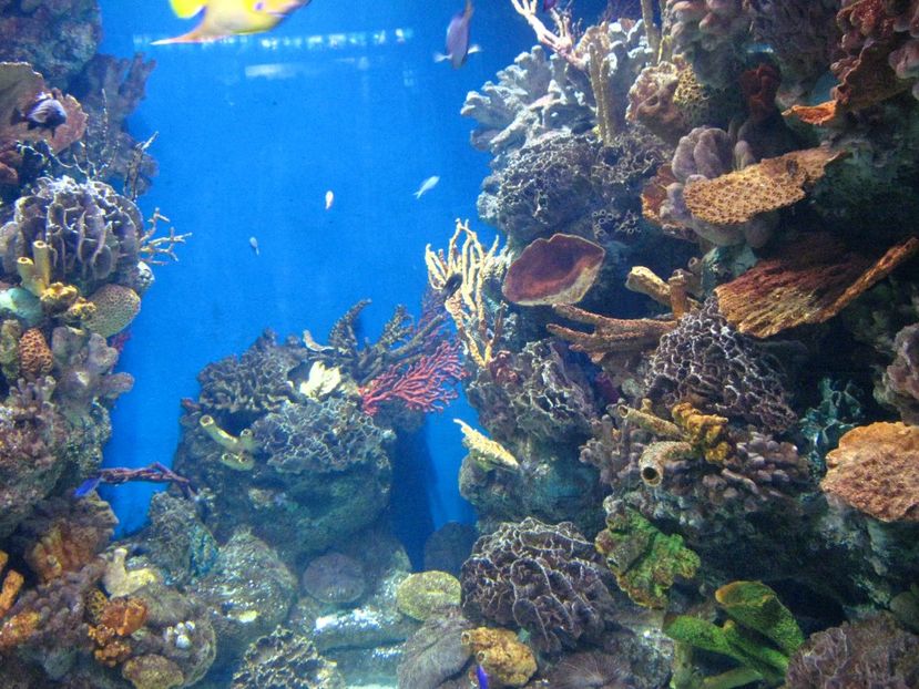 Picture 13482 - Barcelona Alex-John