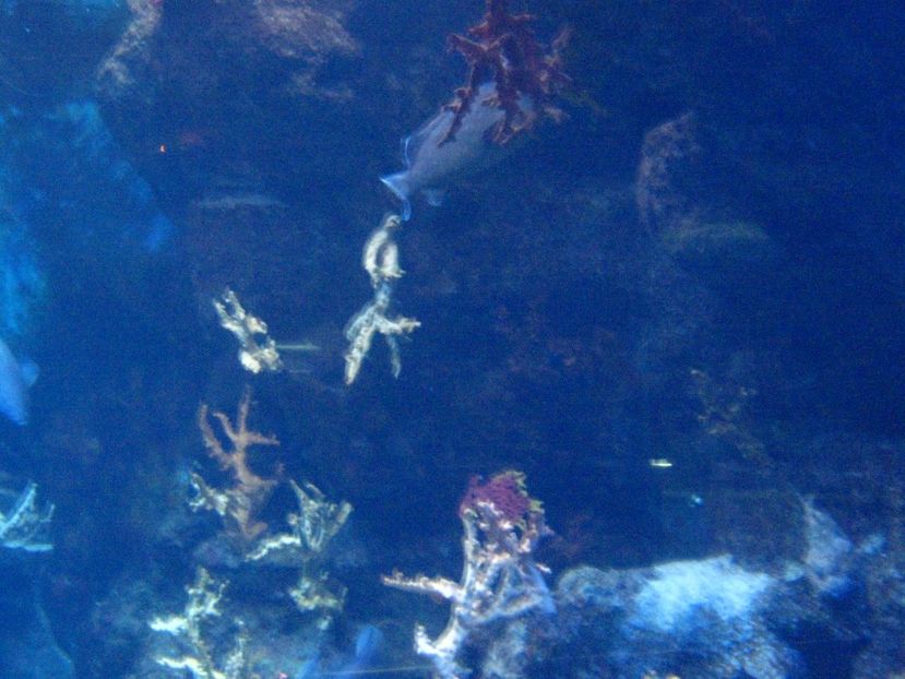 Picture 13528 - Barcelona Alex-John 2