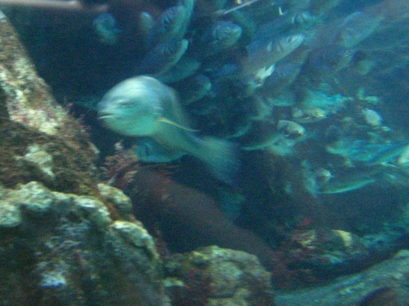 Picture 13533 - Barcelona Alex-John 2