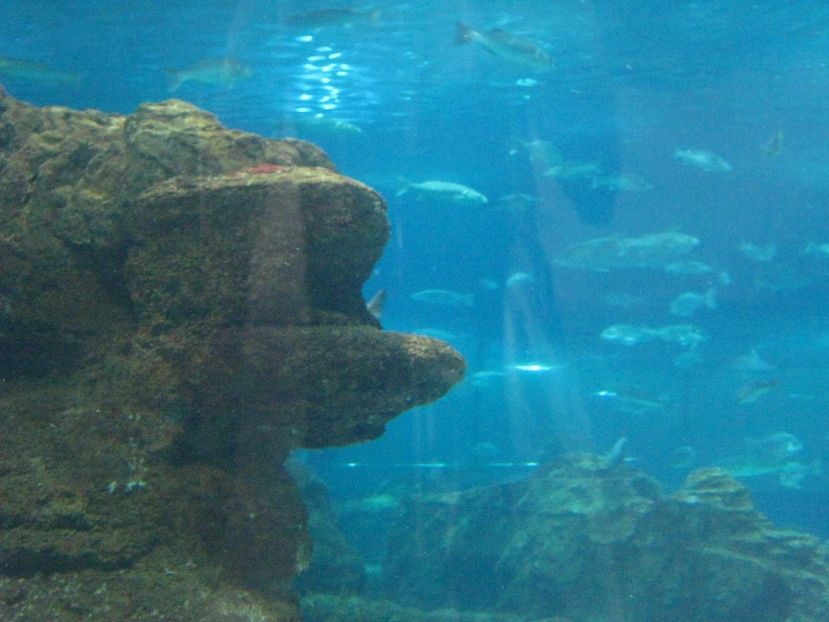 Picture 13542 - Barcelona Alex-John 2