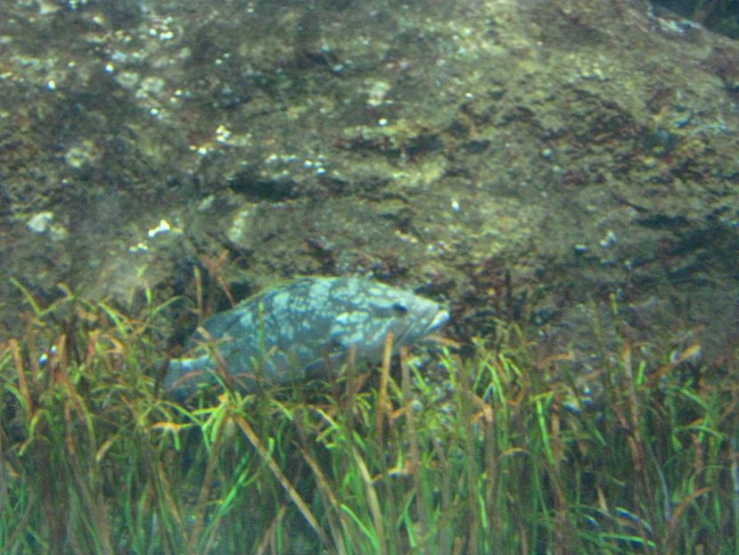 Picture 13543 - Barcelona Alex-John 2