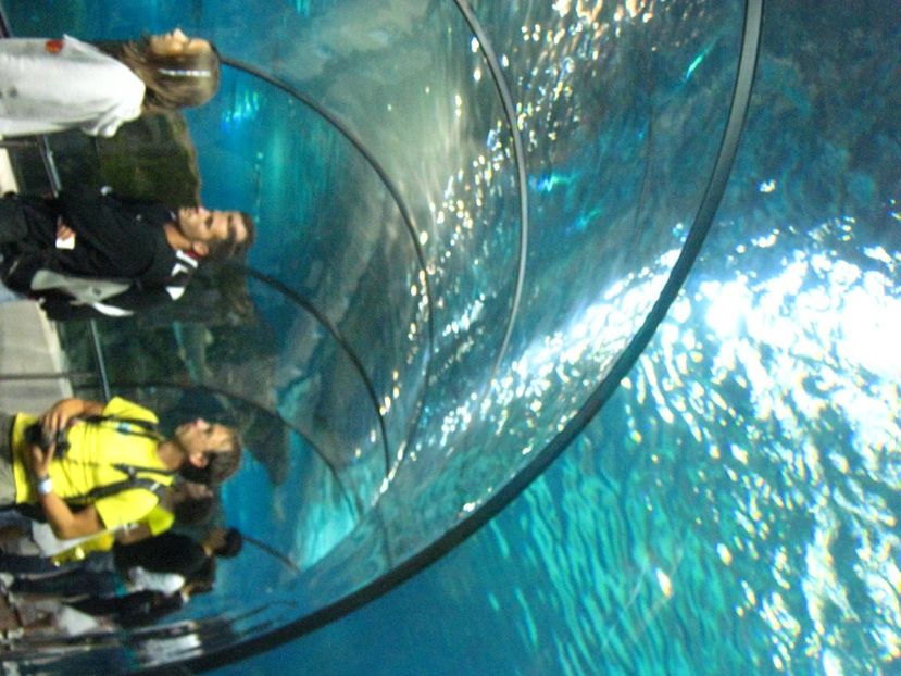 Picture 13553 - Barcelona Alex-John 2