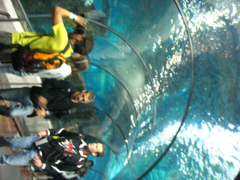 Picture 13554 - Barcelona Alex-John 2