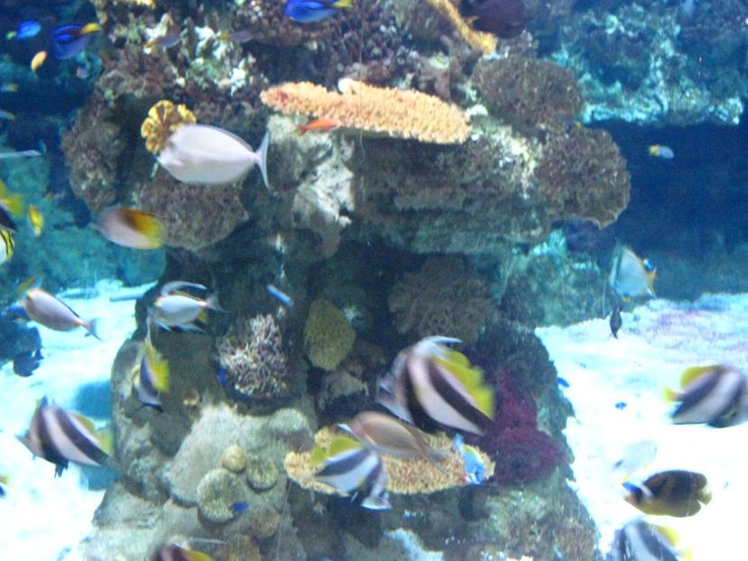 Picture 13556 - Barcelona Alex-John 2