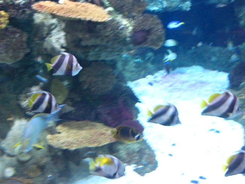 Picture 13557 - Barcelona Alex-John 2