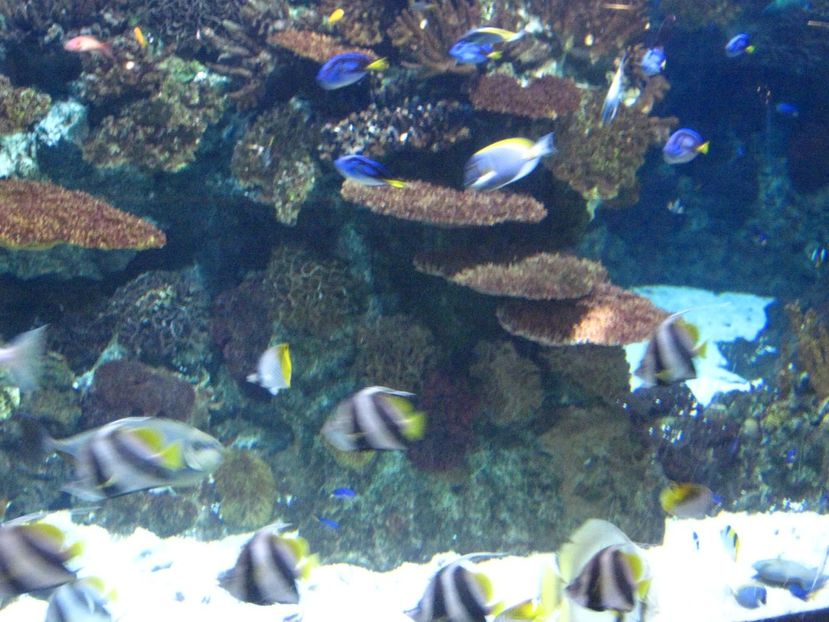 Picture 13559 - Barcelona Alex-John 2