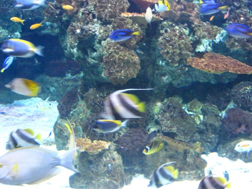 Picture 13560 - Barcelona Alex-John 2