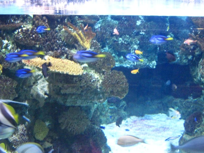 Picture 13561 - Barcelona Alex-John 2