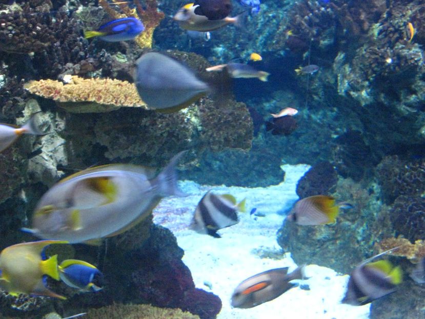 Picture 13564 - Barcelona Alex-John 2