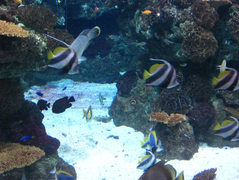 Picture 13566 - Barcelona Alex-John 2