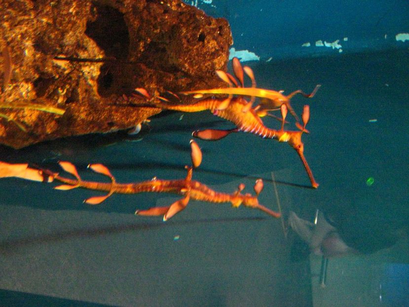 Picture 13567 - Barcelona Alex-John 2