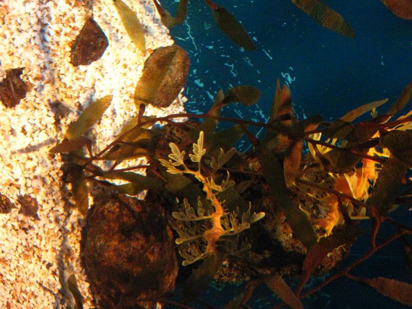 Picture 13569 - Barcelona Alex-John 2