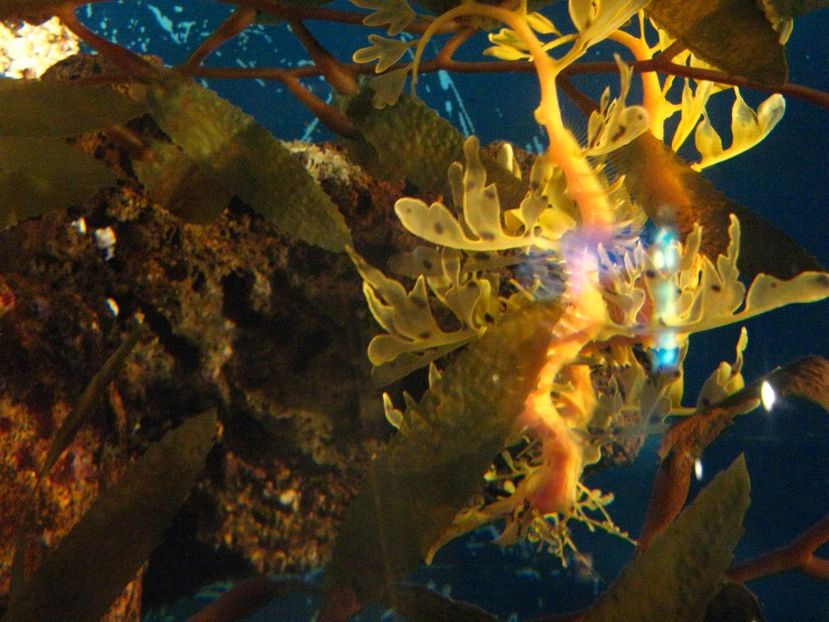 Picture 13570 - Barcelona Alex-John 2