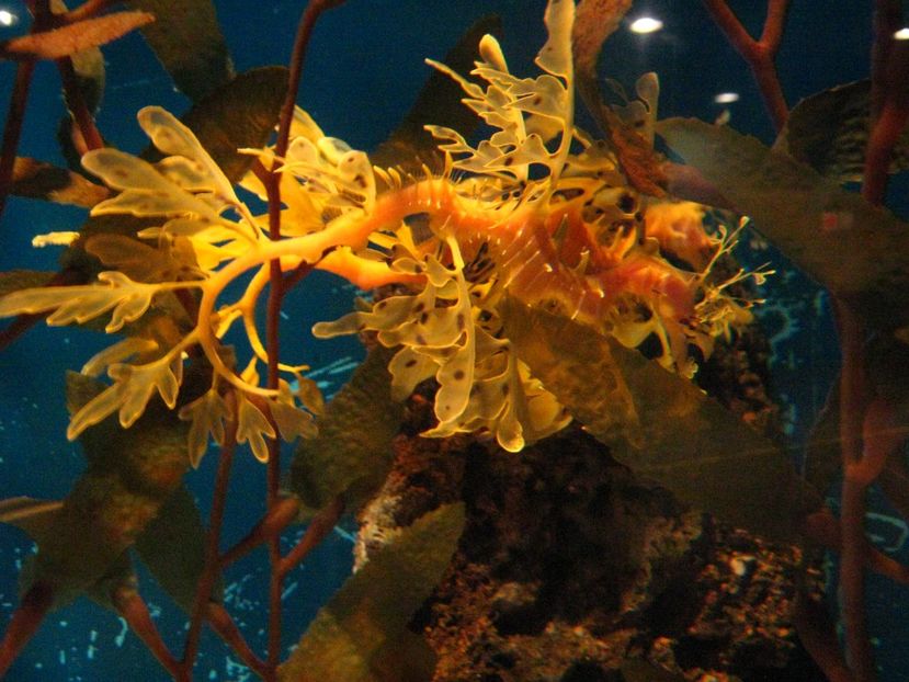 Picture 13571 - Barcelona Alex-John 2