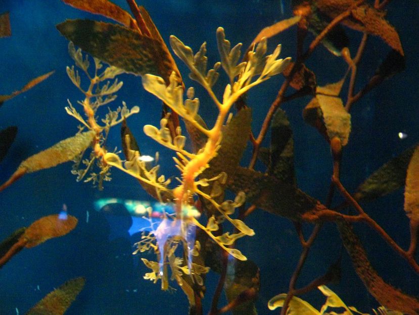 Picture 13572 - Barcelona Alex-John 2