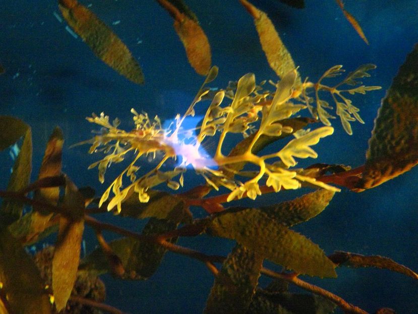 Picture 13573 - Barcelona Alex-John 2