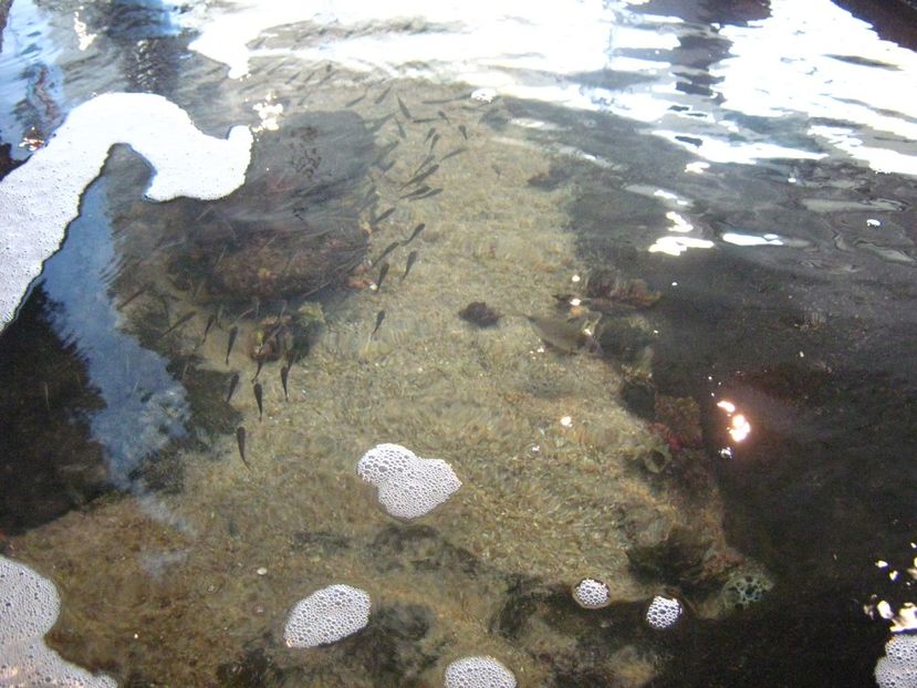 Picture 13574 - Barcelona Alex-John 2