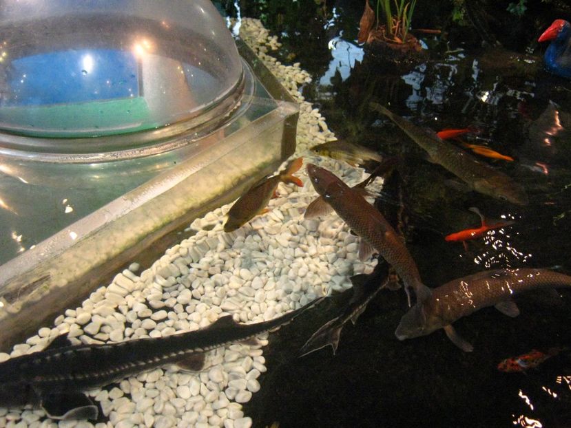 Picture 13580 - Barcelona Alex-John 2