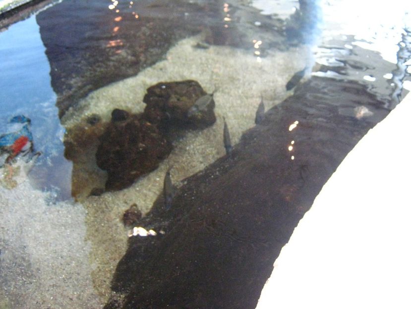 Picture 13582 - Barcelona Alex-John 2