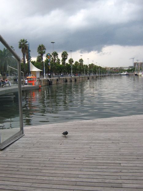 Picture 13597 - Barcelona Alex-John 2