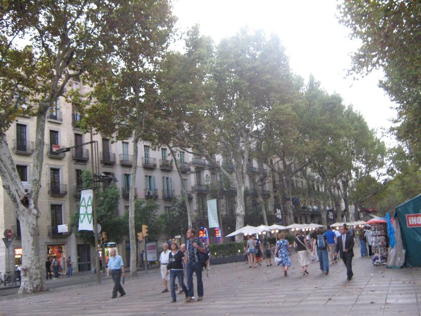 Picture 13607 - Barcelona Alex-John 2