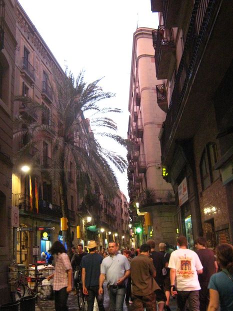 Picture 13657 - Barcelona Alex-John 2