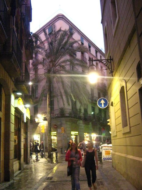 Picture 13664 - Barcelona Alex-John 2