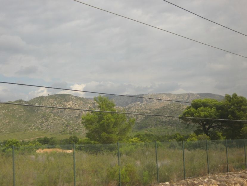 Picture 13684 - Barcelona Alex-John 2