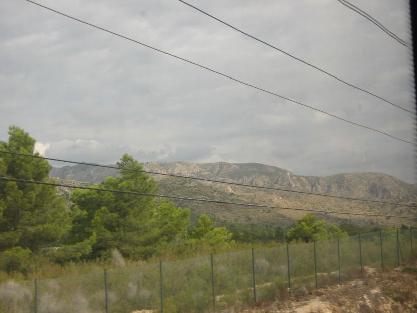 Picture 13685 - Barcelona Alex-John 2