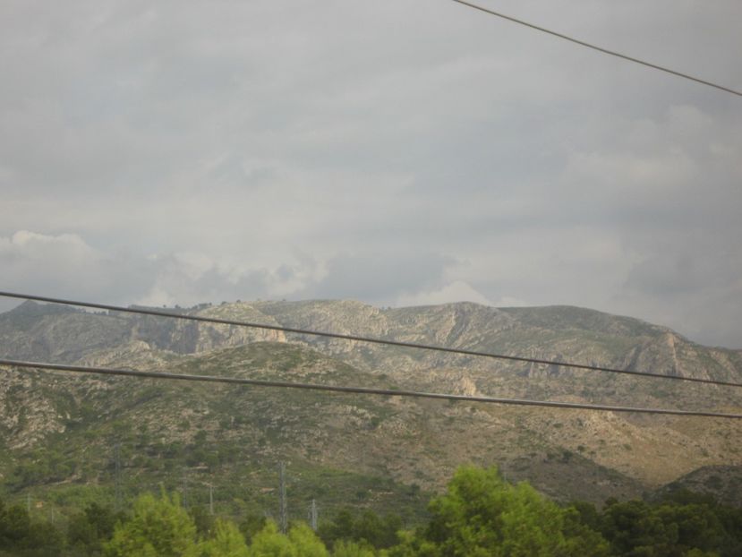 Picture 13686 - Barcelona Alex-John 2