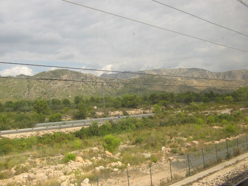 Picture 13687 - Barcelona Alex-John 2