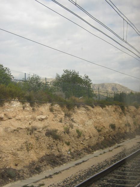 Picture 13689 - Barcelona Alex-John 2