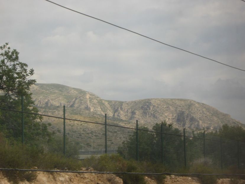 Picture 13690 - Barcelona Alex-John 2