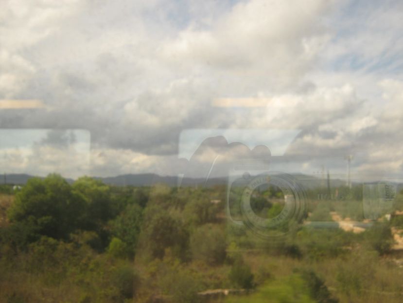 Picture 13720 - Barcelona Alex-John 2