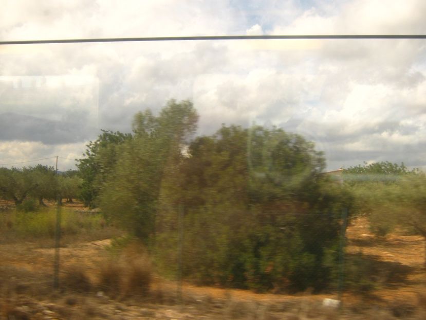 Picture 13721 - Barcelona Alex-John 2