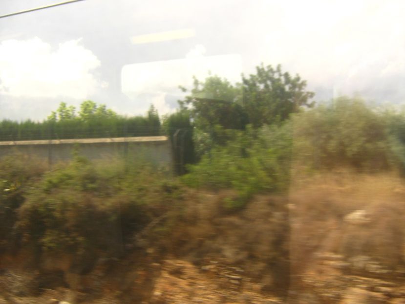 Picture 13723 - Barcelona Alex-John 2