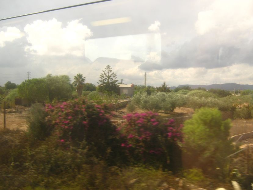 Picture 13724 - Barcelona Alex-John 2