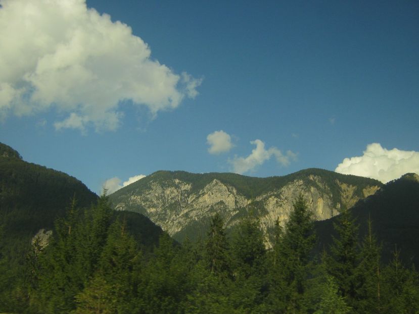 Picture 13736 - Barcelona Alex-John 2