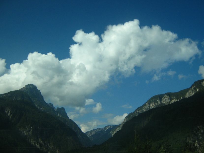 Picture 13738 - Barcelona Alex-John 2