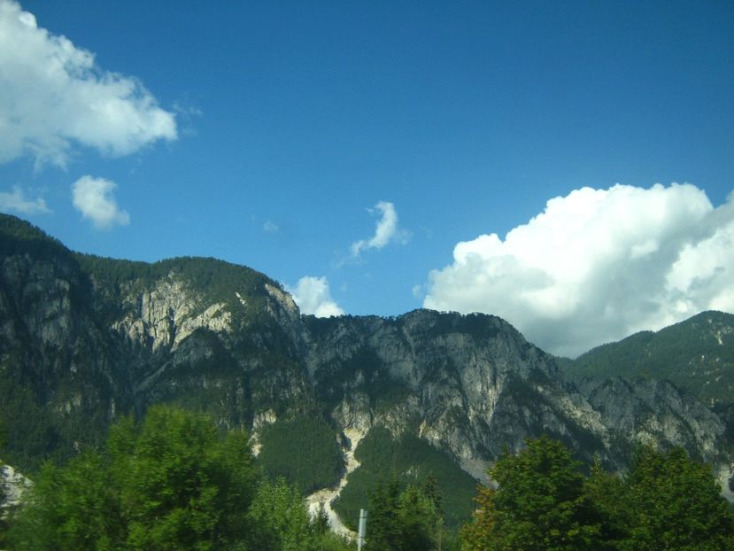 Picture 13739 - Barcelona Alex-John 2