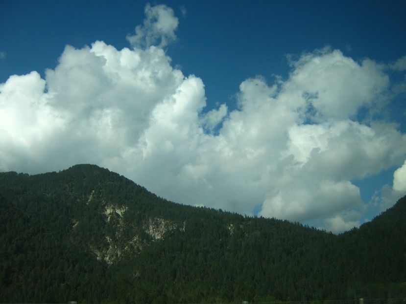 Picture 13747 - Barcelona Alex-John 2