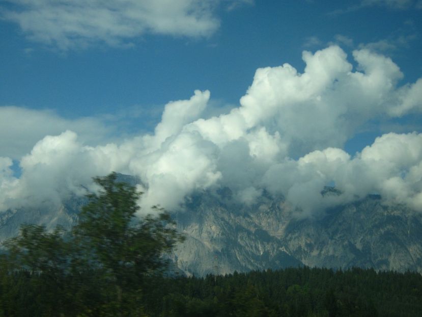 Picture 13758 - Barcelona Alex-John 2